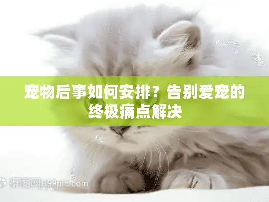 宠物后事如何安排？告别爱宠的终极痛点解决