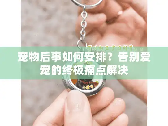 宠物后事如何安排？告别爱宠的终极痛点解决