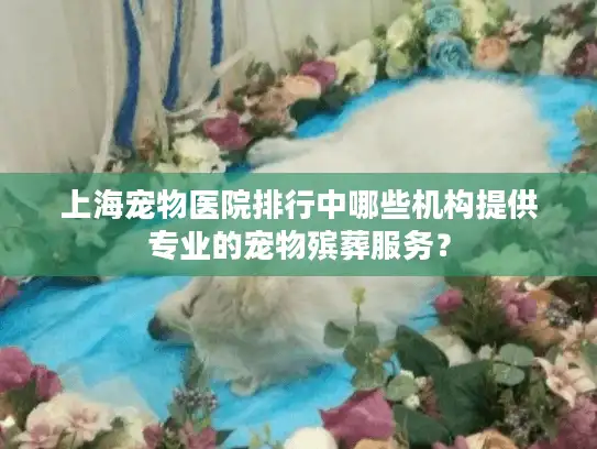 上海宠物医院排行中哪些机构提供专业的宠物殡葬服务？