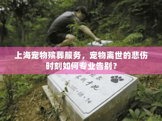 上海宠物殡葬服务，宠物离世的悲伤时刻如何专业告别？