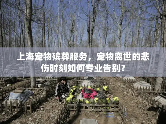 上海宠物殡葬服务，宠物离世的悲伤时刻如何专业告别？