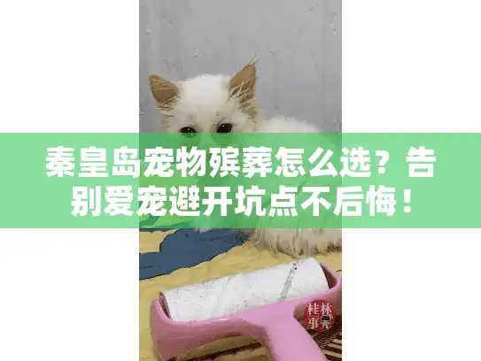 秦皇岛宠物殡葬怎么选？告别爱宠避开坑点不后悔！