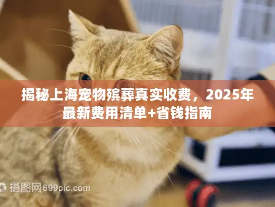 揭秘上海宠物殡葬真实收费，2025年最新费用清单+省钱指南