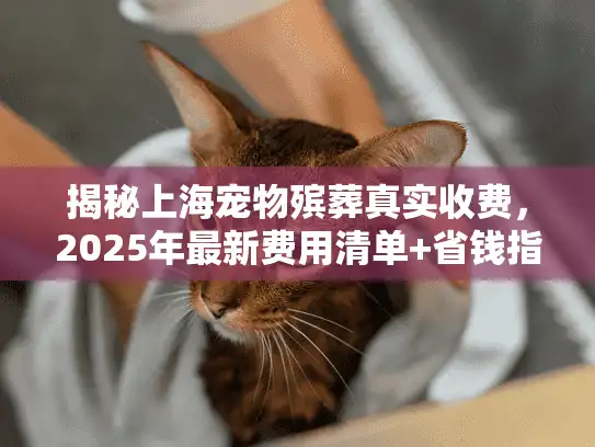 揭秘上海宠物殡葬真实收费，2025年最新费用清单+省钱指南