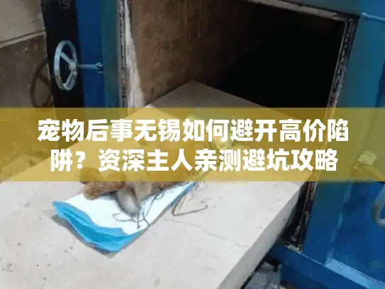 宠物后事无锡如何避开高价陷阱？资深主人亲测避坑攻略