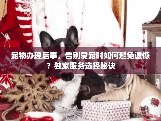 宠物办理后事，告别爱宠时如何避免遗憾？独家服务选择秘诀