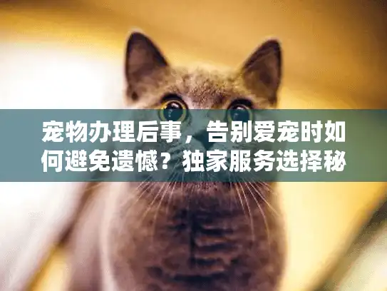 宠物办理后事，告别爱宠时如何避免遗憾？独家服务选择秘诀