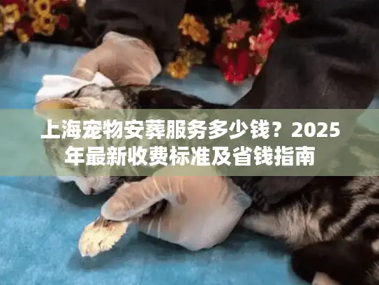 上海宠物安葬服务多少钱？2025年最新收费标准及省钱指南