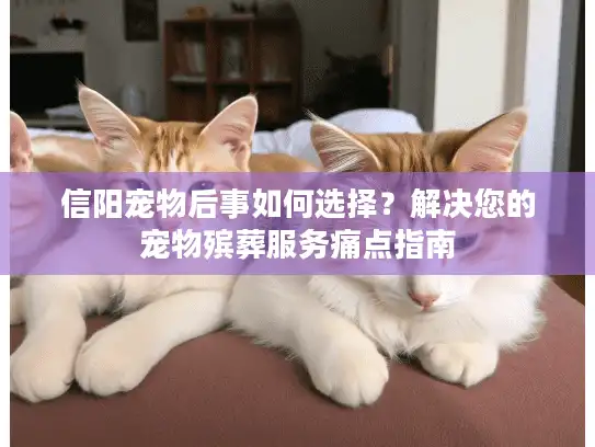 信阳宠物后事如何选择？解决您的宠物殡葬服务痛点指南