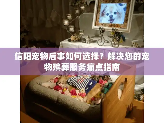 信阳宠物后事如何选择？解决您的宠物殡葬服务痛点指南