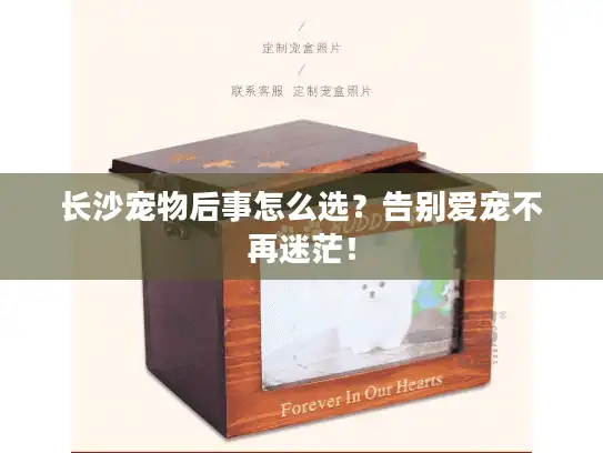 长沙宠物后事怎么选？告别爱宠不再迷茫！