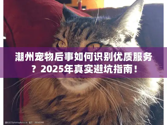 潮州宠物后事如何识别优质服务？2025年真实避坑指南！