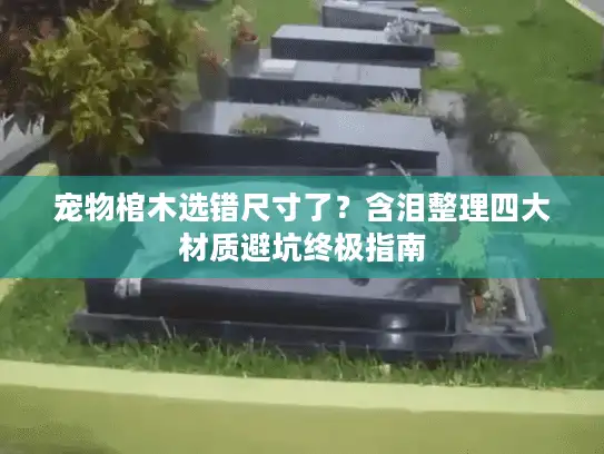 宠物棺木选错尺寸了？含泪整理四大材质避坑终极指南