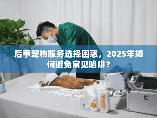 后事宠物服务选择困惑，2025年如何避免常见陷阱？