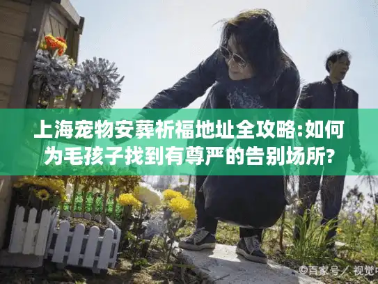 上海宠物安葬祈福地址全攻略:如何为毛孩子找到有尊严的告别场所?