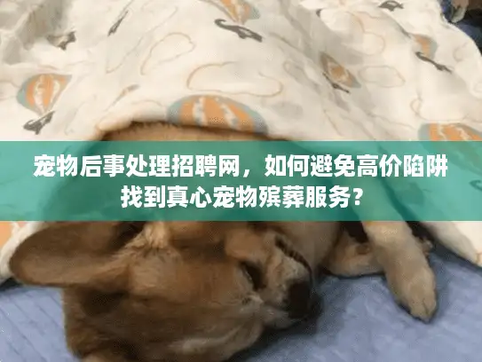宠物后事处理招聘网，如何避免高价陷阱找到真心宠物殡葬服务？
