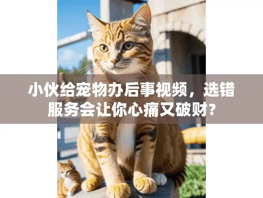 小伙给宠物办后事视频，选错服务会让你心痛又破财？