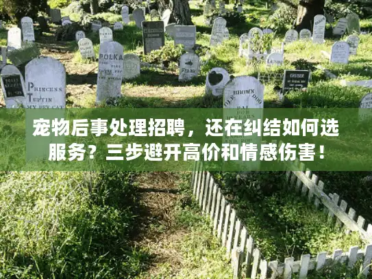 宠物后事处理招聘，还在纠结如何选服务？三步避开高价和情感伤害！