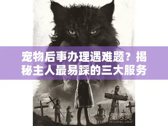 宠物后事办理遇难题？揭秘主人最易踩的三大服务盲区
