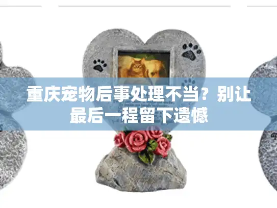 重庆宠物后事处理不当？别让最后一程留下遗憾