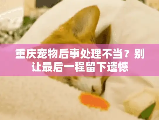 重庆宠物后事处理不当？别让最后一程留下遗憾