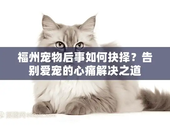 福州宠物后事如何抉择？告别爱宠的心痛解决之道