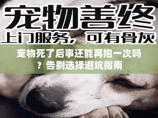 宠物死了后事还能再抱一次吗？告别选择避坑指南
