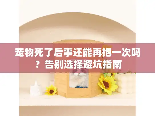 宠物死了后事还能再抱一次吗？告别选择避坑指南