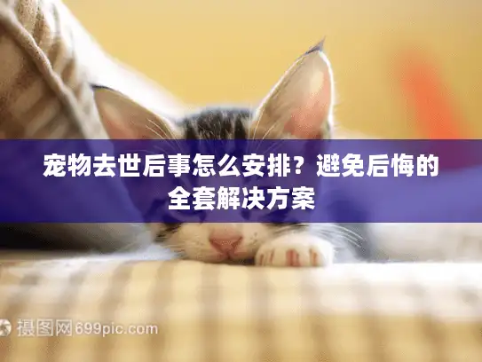 宠物去世后事怎么安排？避免后悔的全套解决方案