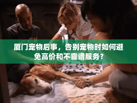 厦门宠物后事，告别宠物时如何避免高价和不靠谱服务？