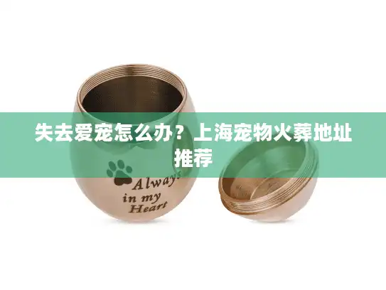 失去爱宠怎么办？上海宠物火葬地址推荐