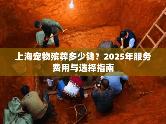 上海宠物殡葬多少钱？2025年服务费用与选择指南
