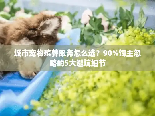 城市宠物殡葬服务怎么选？90%饲主忽略的5大避坑细节