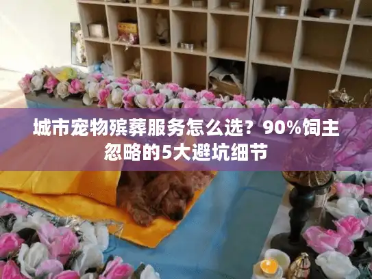 城市宠物殡葬服务怎么选？90%饲主忽略的5大避坑细节