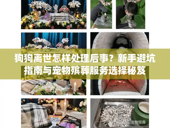 狗狗离世怎样处理后事？新手避坑指南与宠物殡葬服务选择秘笈