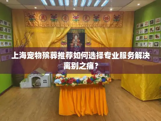 上海宠物殡葬推荐如何选择专业服务解决离别之痛？