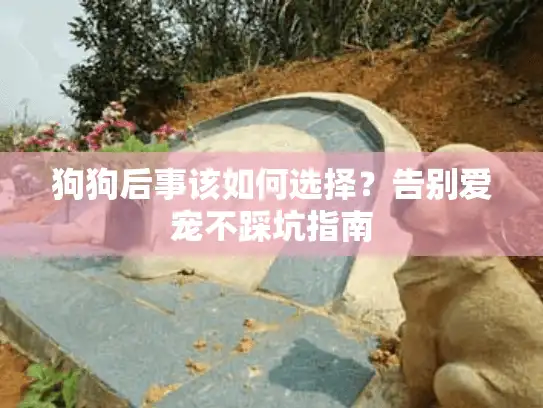 狗狗后事该如何选择？告别爱宠不踩坑指南