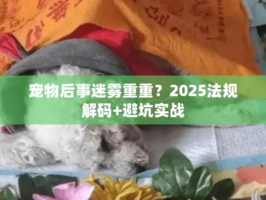 宠物后事迷雾重重？2025法规解码+避坑实战