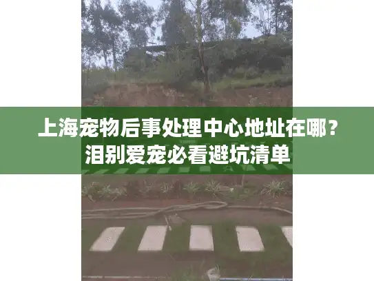 上海宠物后事处理中心地址在哪？泪别爱宠必看避坑清单