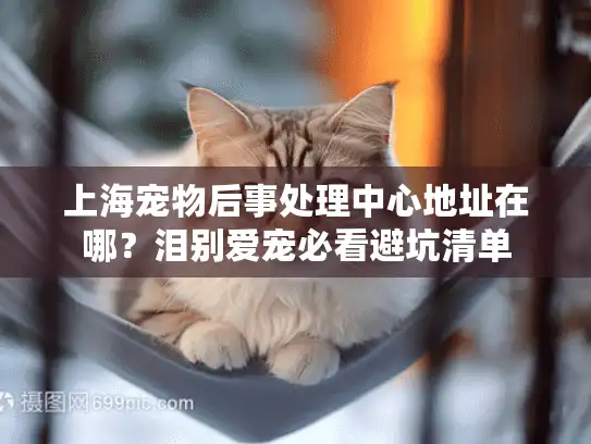 上海宠物后事处理中心地址在哪？泪别爱宠必看避坑清单