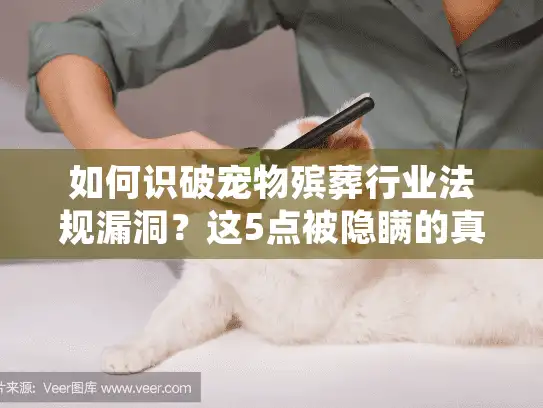 如何识破宠物殡葬行业法规漏洞？这5点被隐瞒的真相