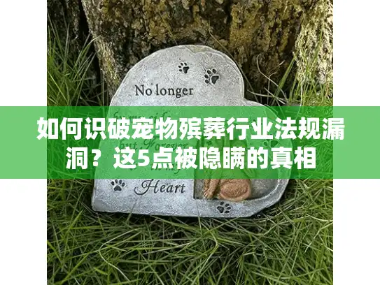 如何识破宠物殡葬行业法规漏洞？这5点被隐瞒的真相
