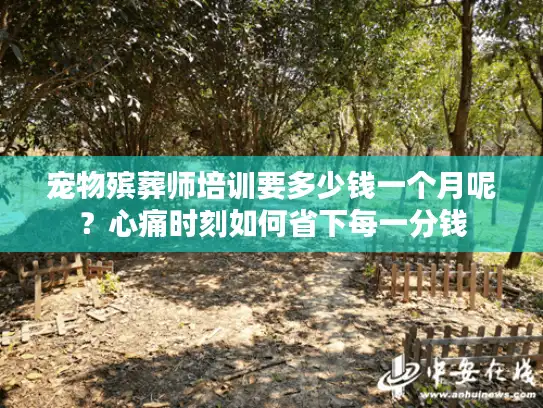 宠物殡葬师培训要多少钱一个月呢？心痛时刻如何省下每一分钱