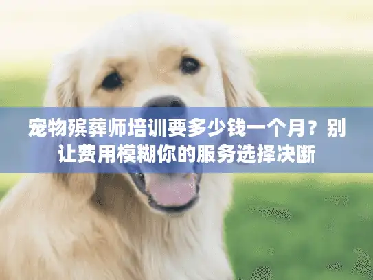 宠物殡葬师培训要多少钱一个月？别让费用模糊你的服务选择决断
