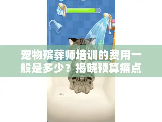 宠物殡葬师培训的费用一般是多少？揭晓预算痛点