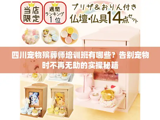 四川宠物殡葬师培训班有哪些？告别宠物时不再无助的实操秘籍