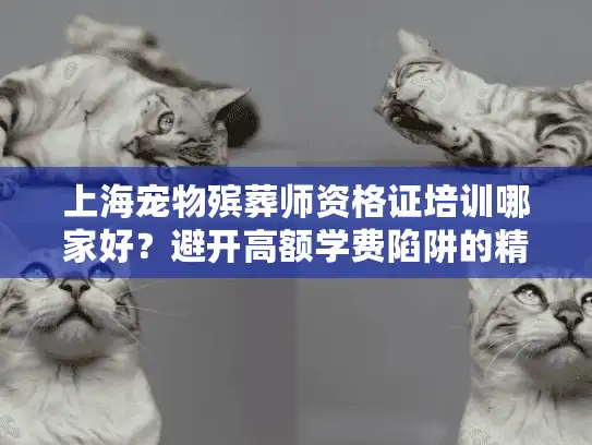 上海宠物殡葬师资格证培训哪家好？避开高额学费陷阱的精准筛选攻略