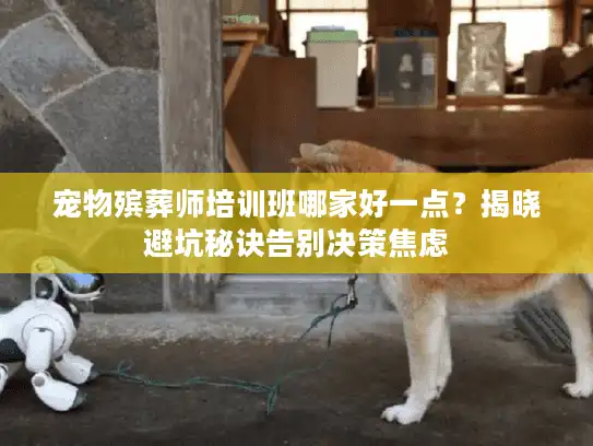 宠物殡葬师培训班哪家好一点？揭晓避坑秘诀告别决策焦虑