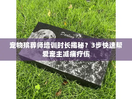 宠物殡葬师培训时长揭秘？3步快速帮爱宠主减痛疗伤