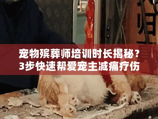 宠物殡葬师培训时长揭秘？3步快速帮爱宠主减痛疗伤